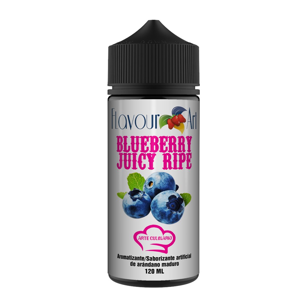 Blueberry Juicy Ripe x 120 ml